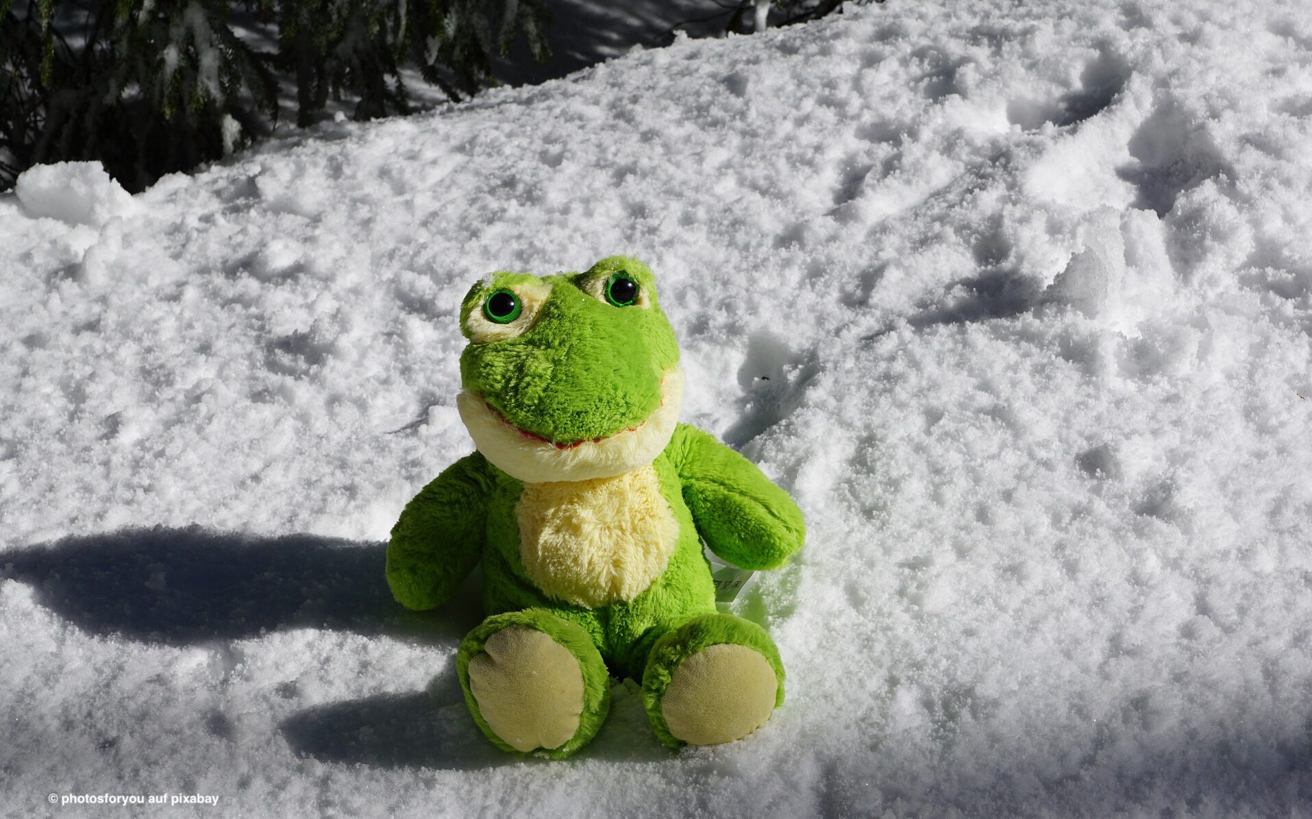 You are currently viewing Der Wetterfrosch macht Winterpause