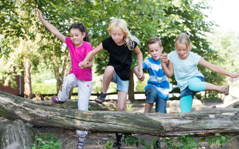 Die Natur als Entwicklungsraum für Kinder