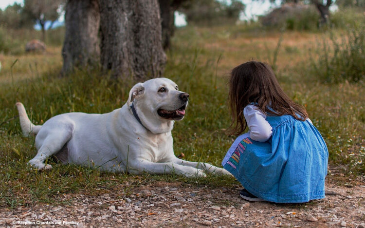 Read more about the article Hunde fördern die Bewegung auch bei Kindern
