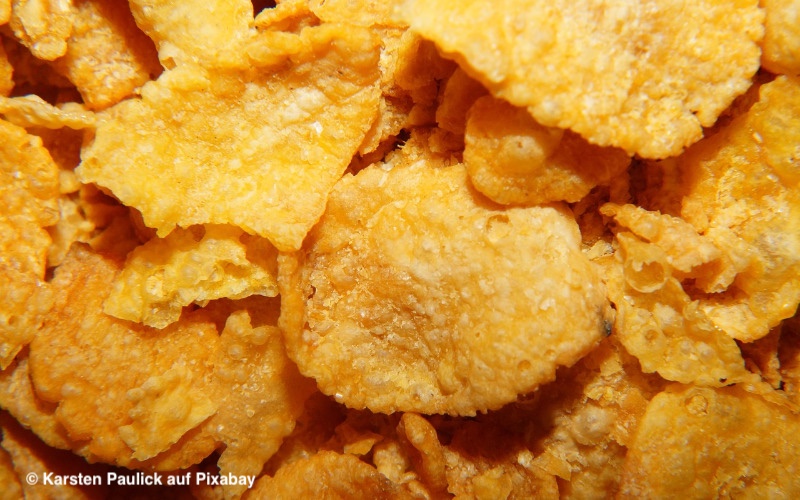 Mehr über den Artikel erfahren Mineralöl in Kellogg’s Cornflakes: foodwatch fordert Rückruf