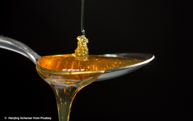 Mehr über den Artikel erfahren Kinder sollten im ersten Lebensjahr keinen Honig essen