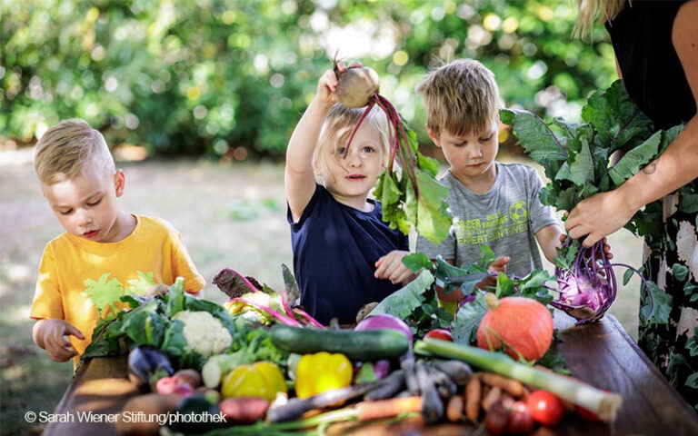 Kostenfreies Bildungsprogramm: Kita-Kinder entdecken Lebensmittel