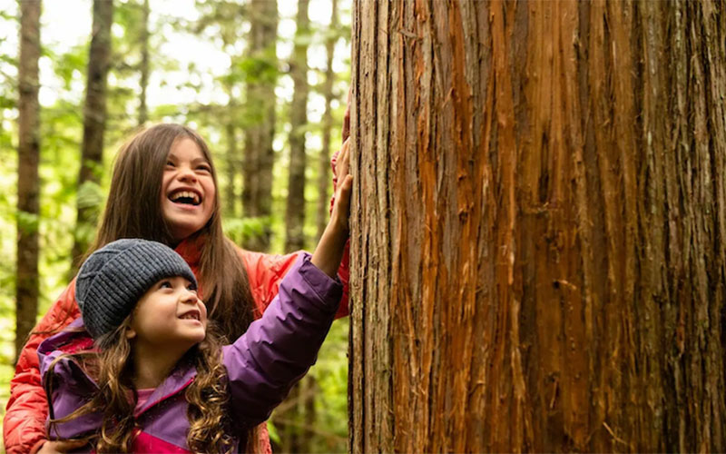 Du betrachtest gerade Pädagogische Naturerlebnisse für Kinder & Jugendliche