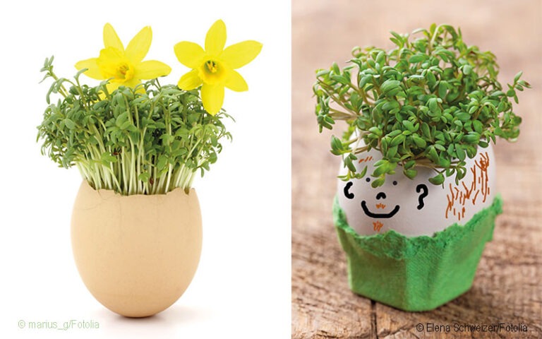 Kresse im Ei ziehen: Einfache Bastelidee für Kinder