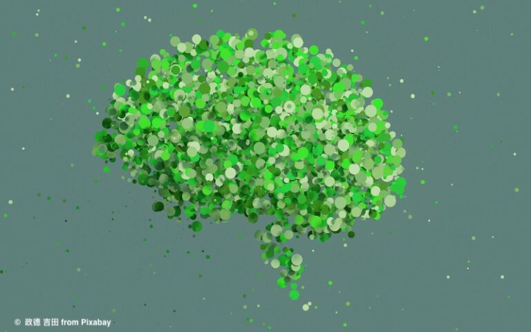Klimaschutz und Nachhaltigkeit in Kinderhänden