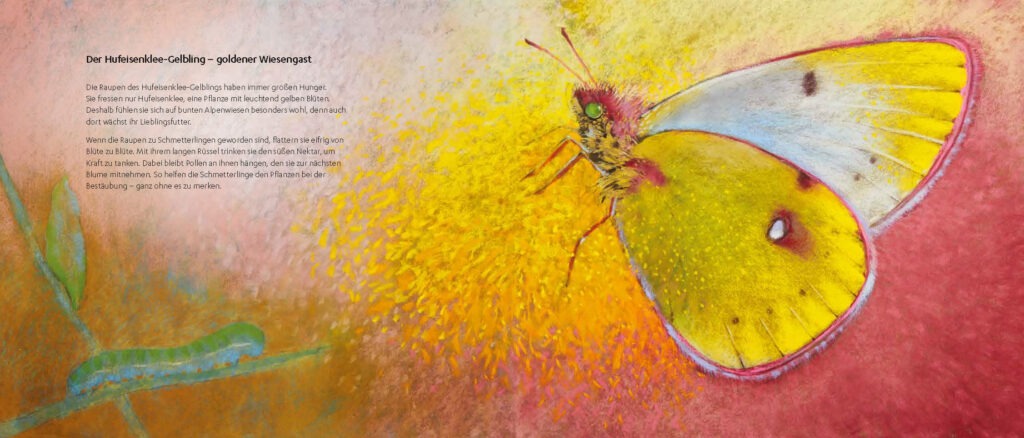 bergtiere