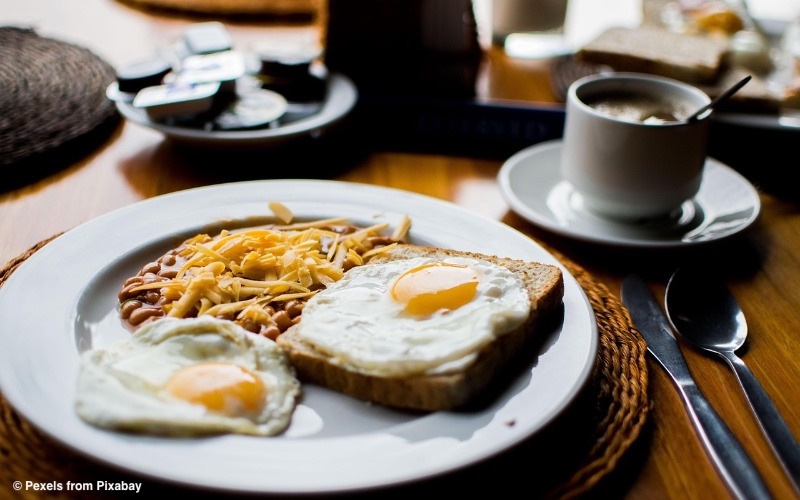 Du betrachtest gerade Aktuelle Ergebnisse zur Lebensmittelsicherheit: Was Einrichtungen wissen müssen