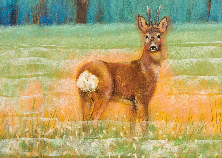 2026-innen-wiesentiere-postkarten