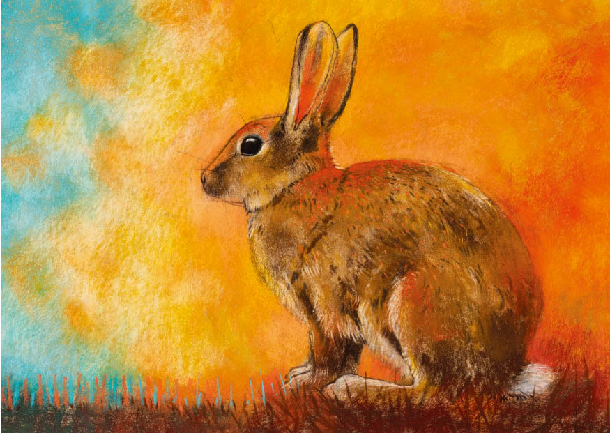 botman-waldtiere-postkarten-26