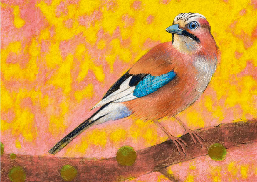 botman-waldtiere-postkarten-26