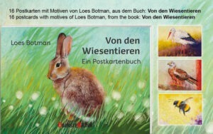 postkarten-wiesentiere-