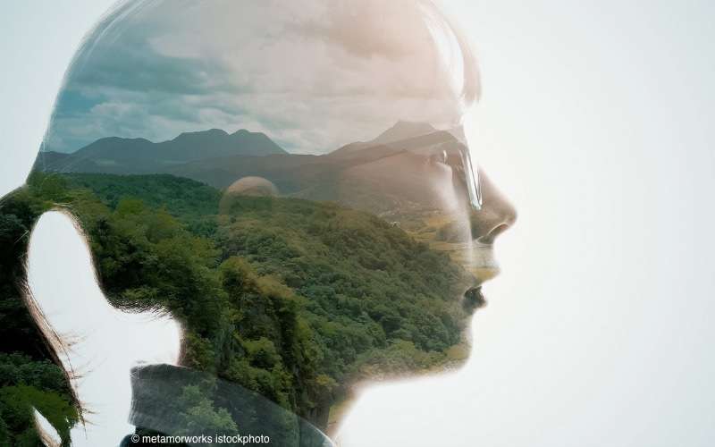 Du betrachtest gerade Die Verlässlichkeit sozialwissenschaftlicher Studien auf dem Prüfstand