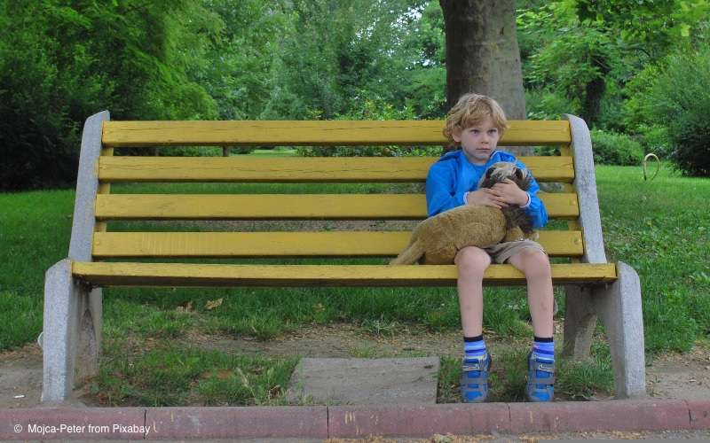 Du betrachtest gerade Jedes zehnte Grundschulkind fühlt sich häufig einsam